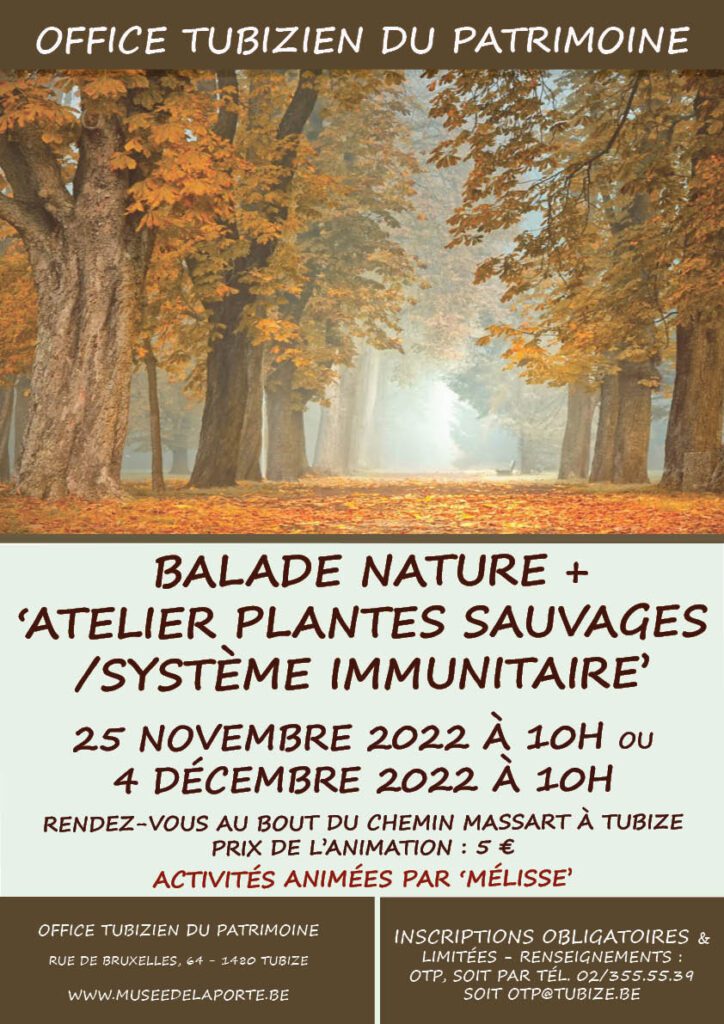 Balade nature et ‘atelier plantes sauvages/système immunitaire’